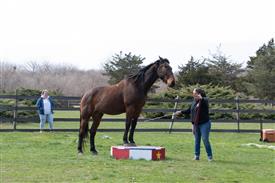 LR-WRF 0402026 Retreat-3379